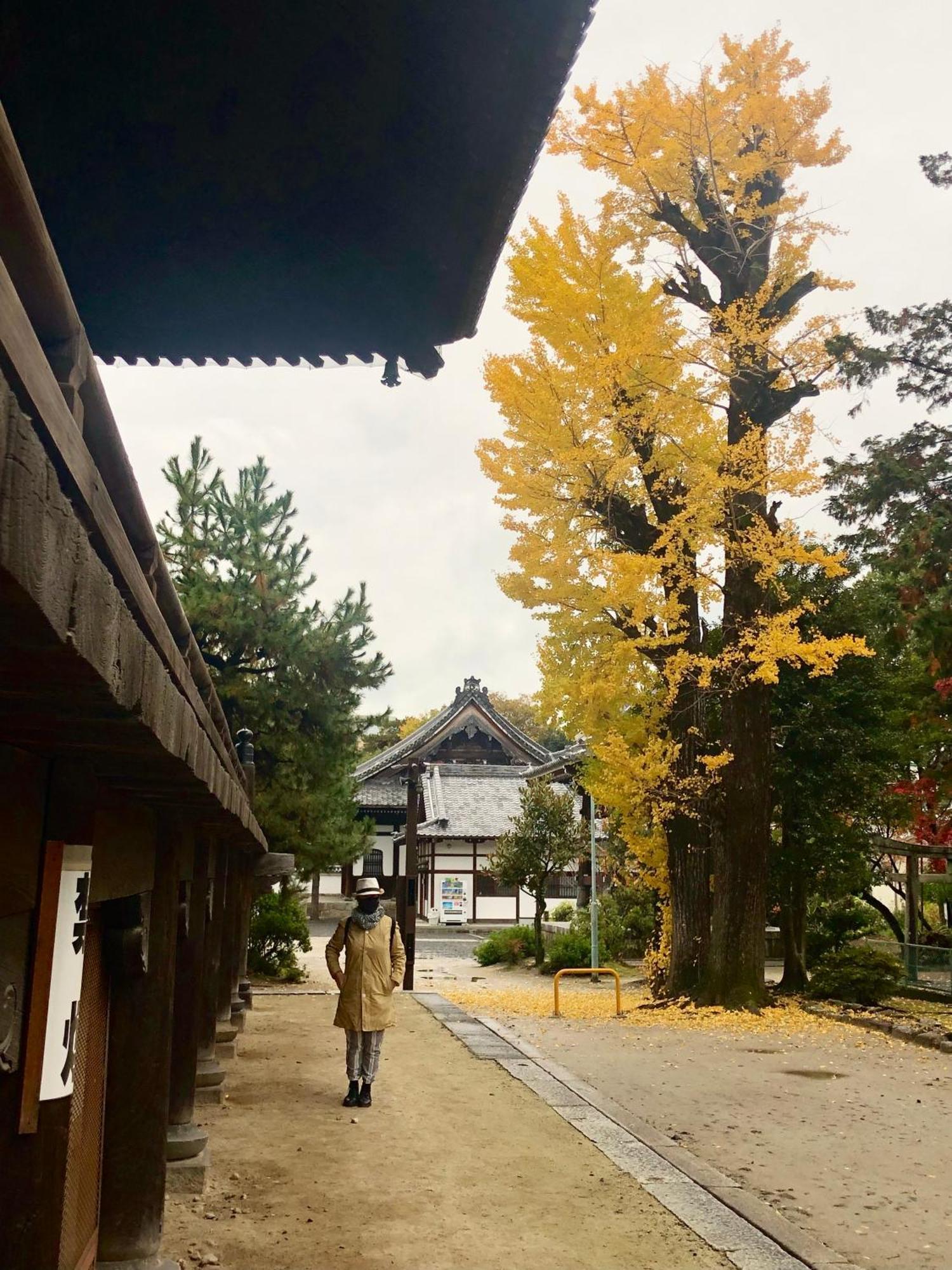 Inari-Home Kyoto Eksteriør billede