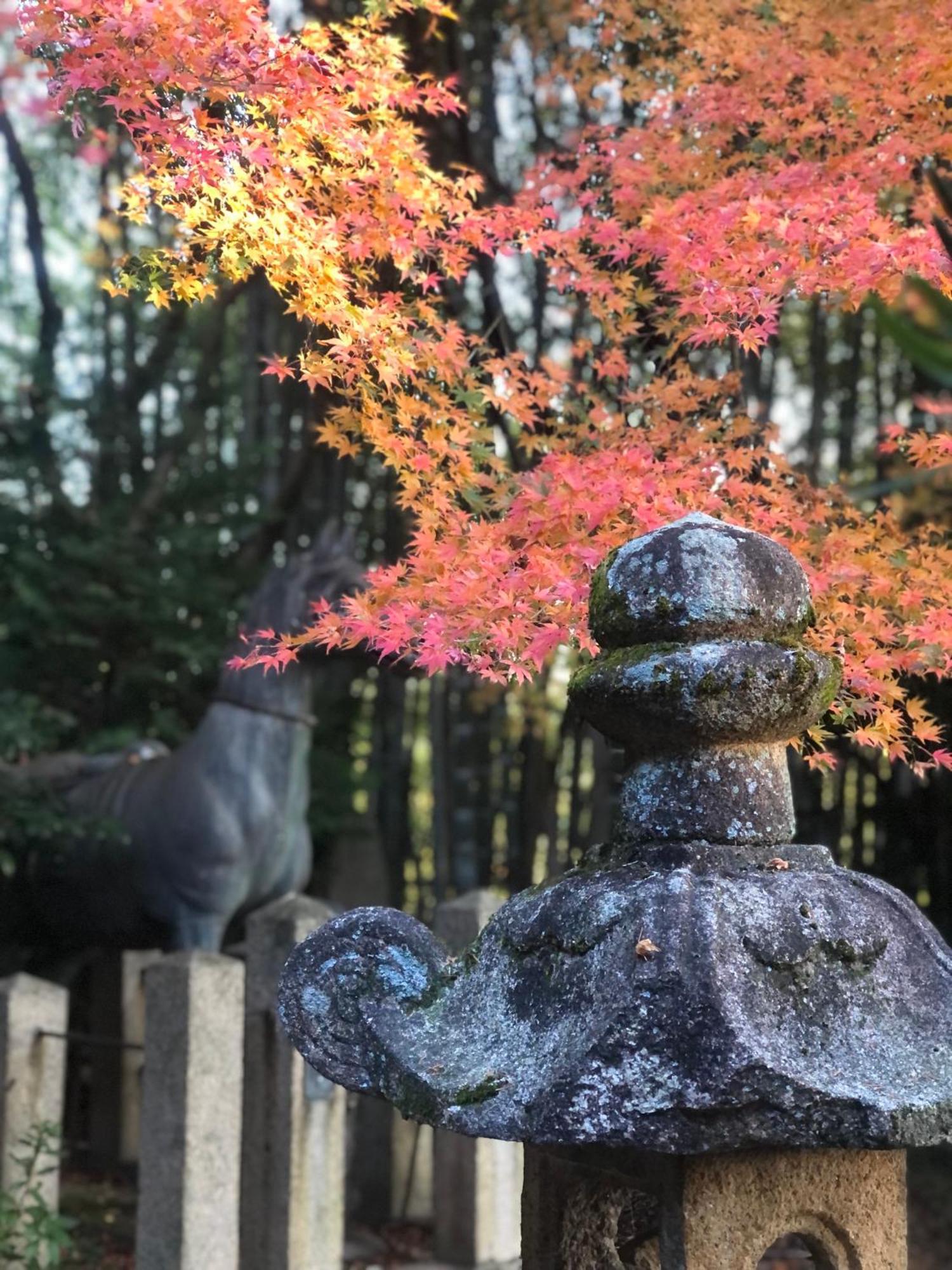 Inari-Home Kyoto Eksteriør billede